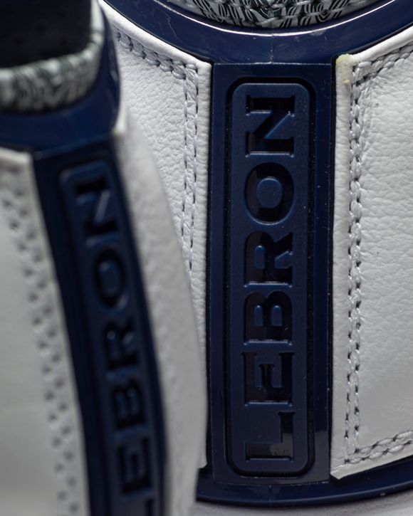 Zoom LeBron 2