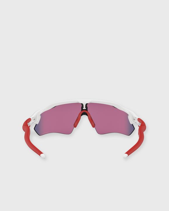 Radar Polished Sunglasses