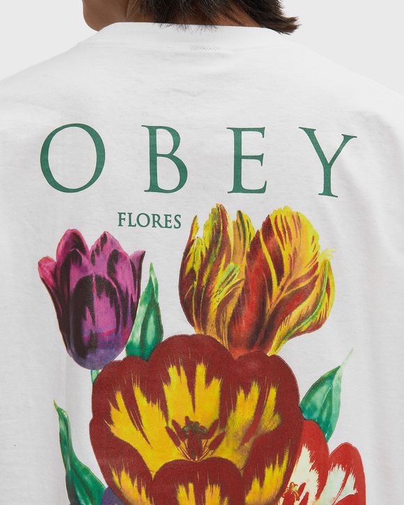 FLORES ROBUS