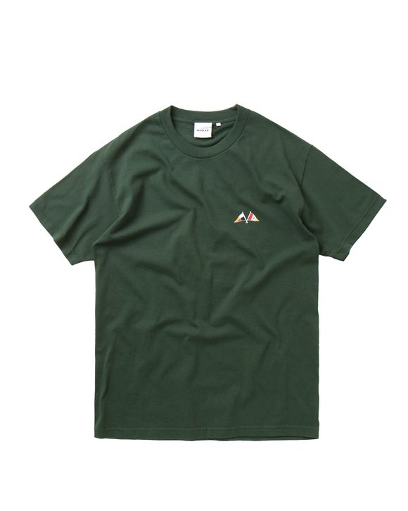 paraw20569-forest-01