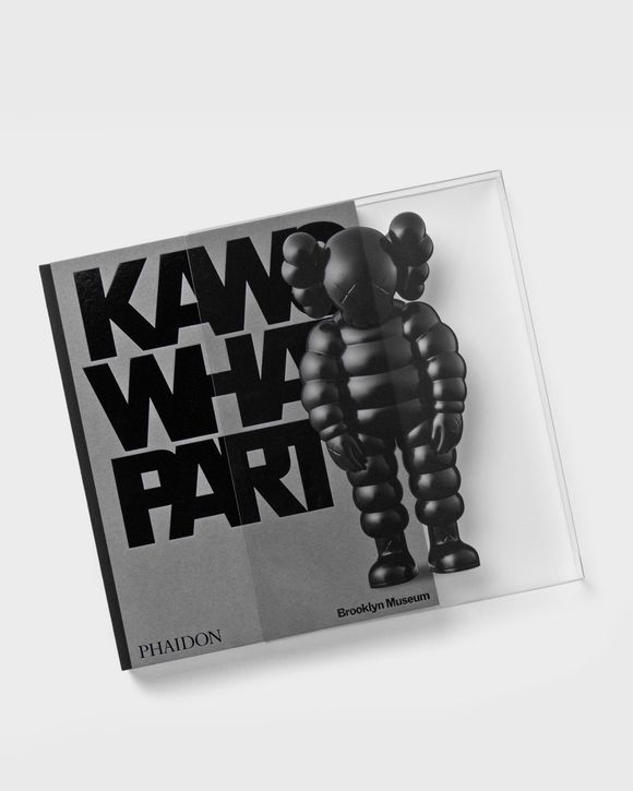 Kaws: what party. Black edition