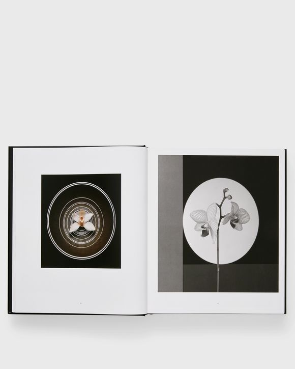 Robert Mapplethorpe