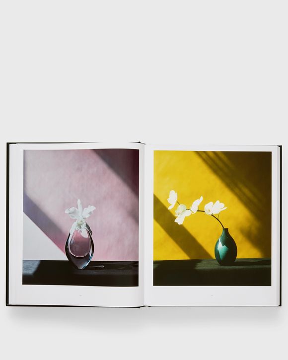 Robert Mapplethorpe