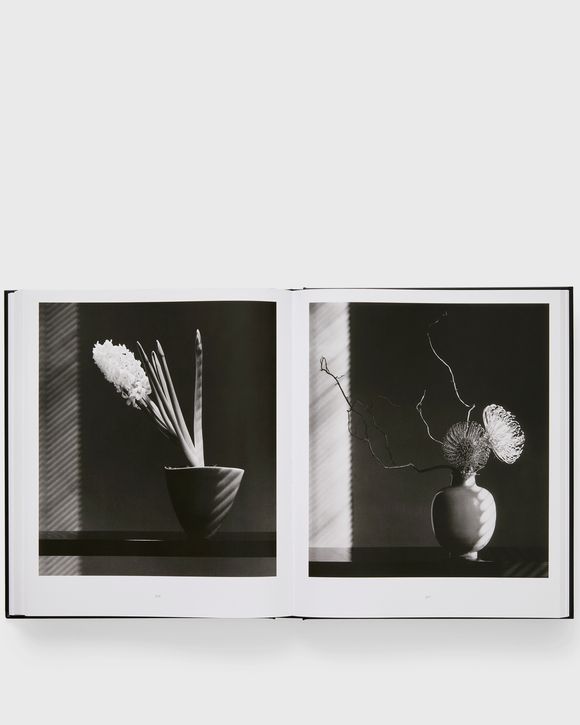 Robert Mapplethorpe