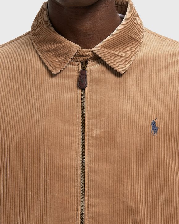 WINDBREAKER