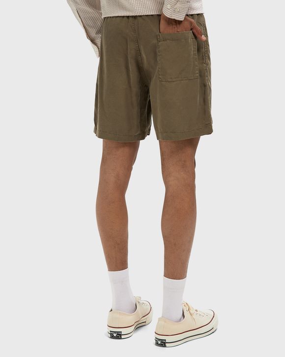 Dogtown Shorts