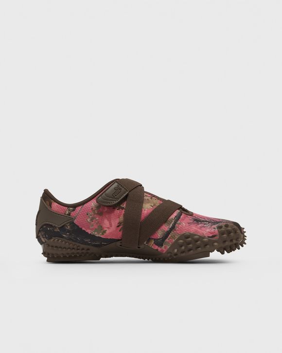 Mostro Camo II