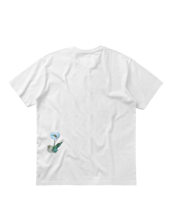f0041-02