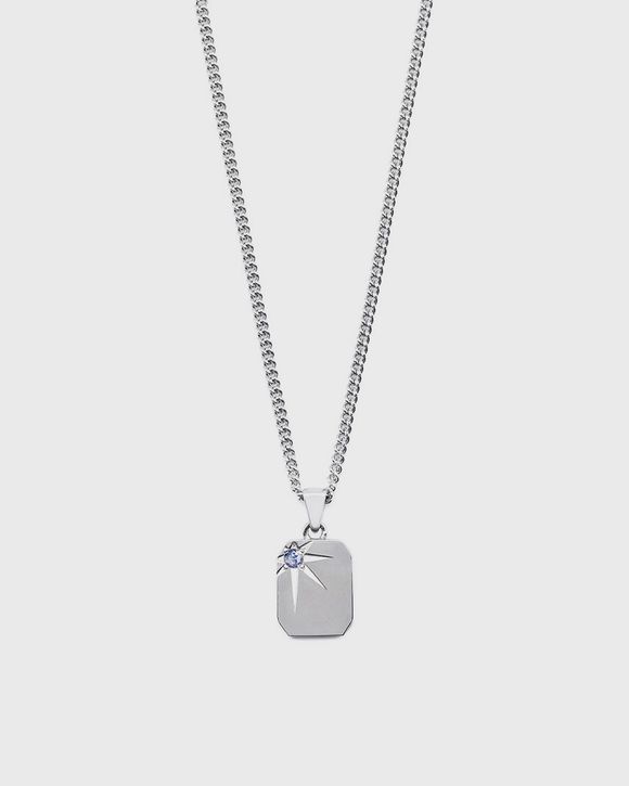 Silver Guardian Necklace