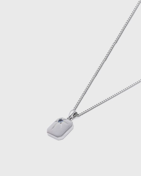Silver Guardian Necklace