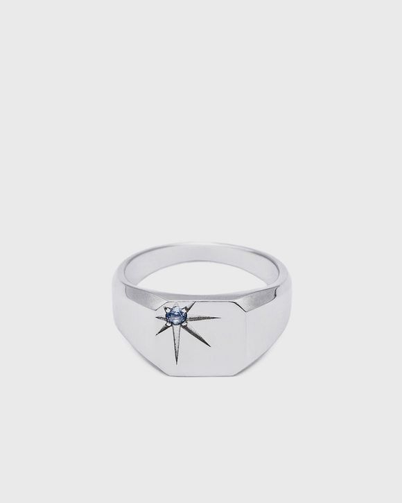 Silver Guardian Ring