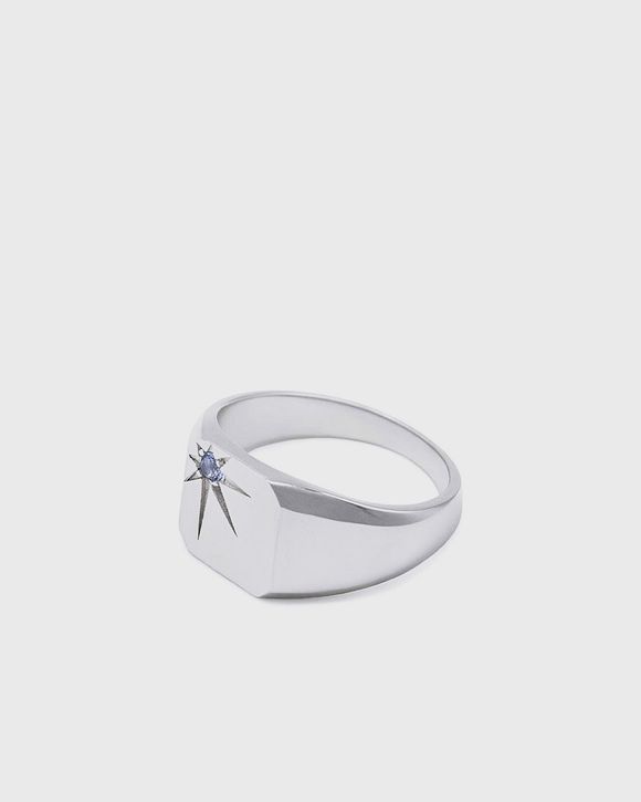 Silver Guardian Ring