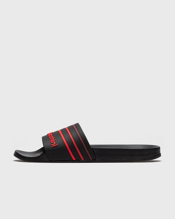 AMARILLIS V2 SLIDES
