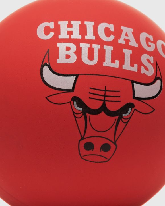 NBA Spaldeens Bulls
