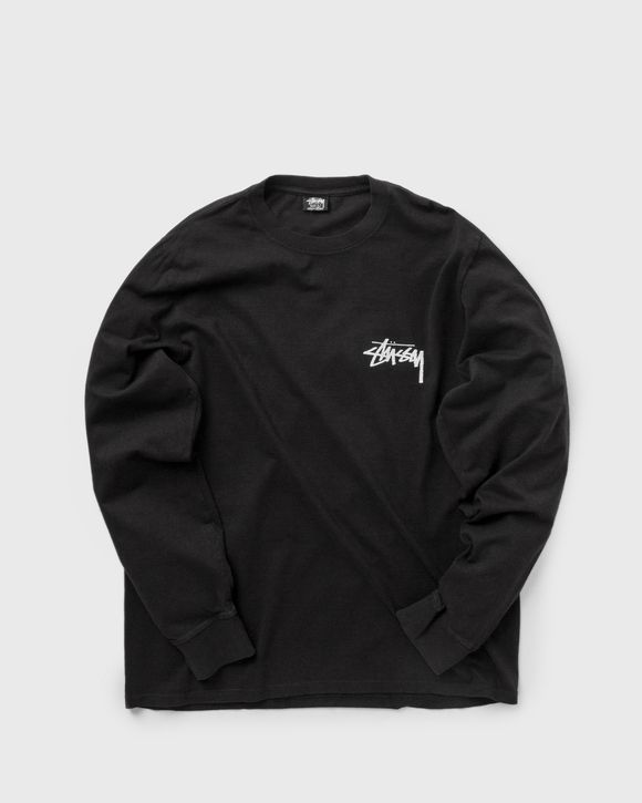 Painter Pig. Dyed Longsleeve
