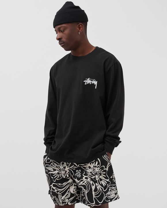 Painter Pig. Dyed Longsleeve