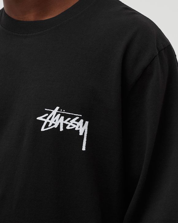Painter Pig. Dyed Longsleeve