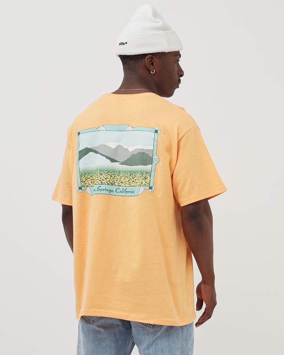 Palm Springs Tee