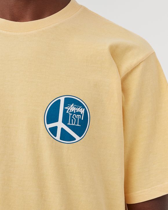 Peace Dot Pig. Dyed Tee