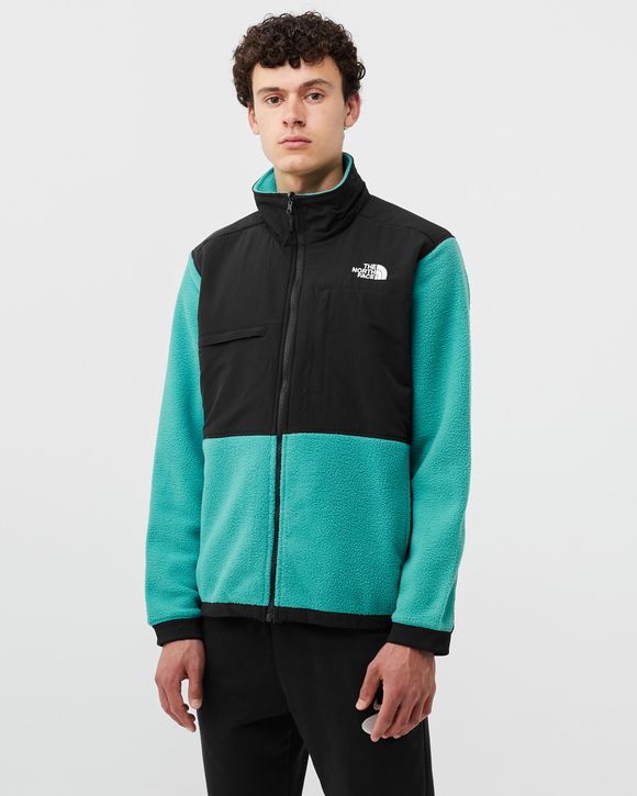 DENALI 2 JACKET