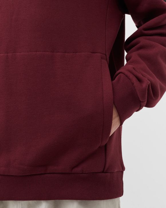 FINE ALPINE HOODIE