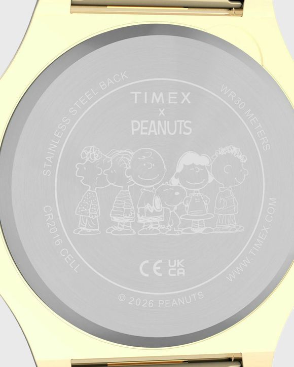 Peanuts T80 Snoopy On The Slopes