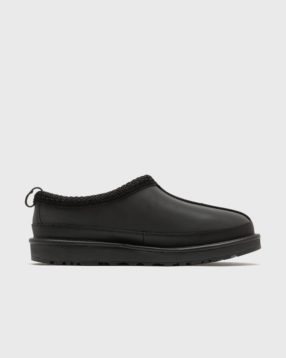 TASMAN REFLECTIVE