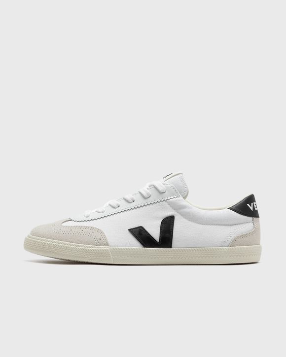 VOLLEY CANVAS