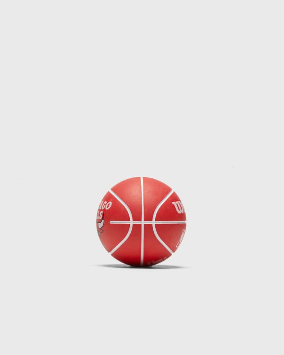 MINI NBA DRIBBLER BASKETBALL CHICAGO BULLS
