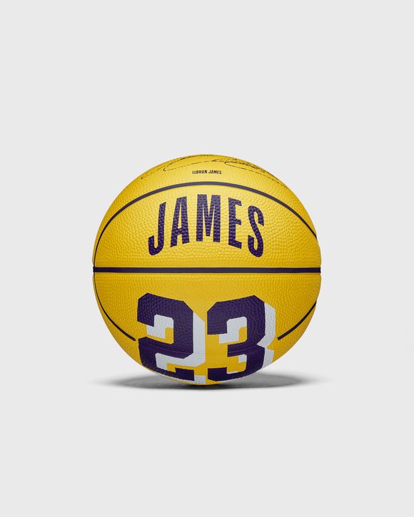 NBA PLAYER ICON MINI BASKETBALL LEBRON NEW SIZE 3