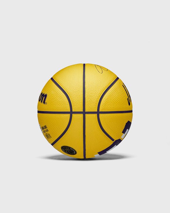 NBA PLAYER ICON MINI BASKETBALL LEBRON NEW SIZE 3