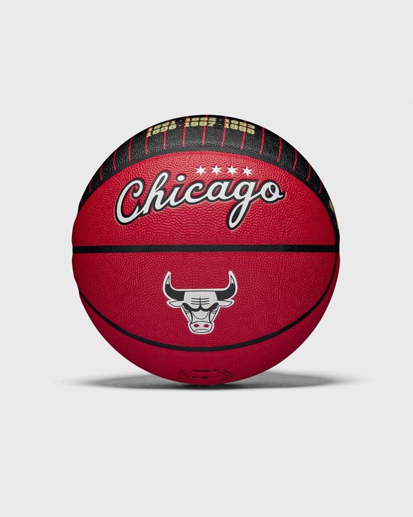NBA TEAM CITY COLLECTOR BASKETBALL CHICAGO BULLS
