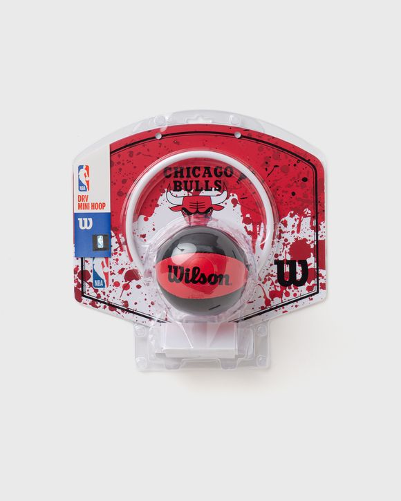 NBA TEAM MINI HOOP CHICAGO BULLS