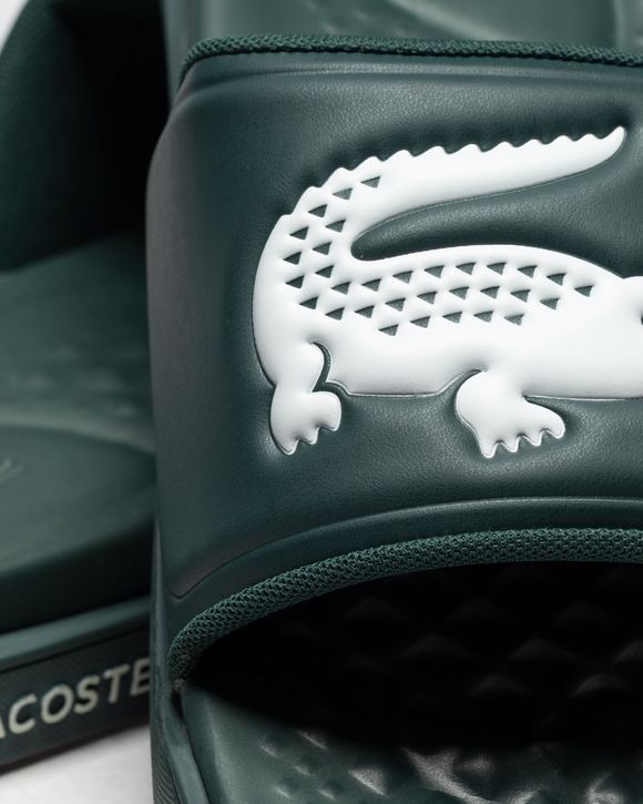 CROCO DUALISTE 0922 1 CMA