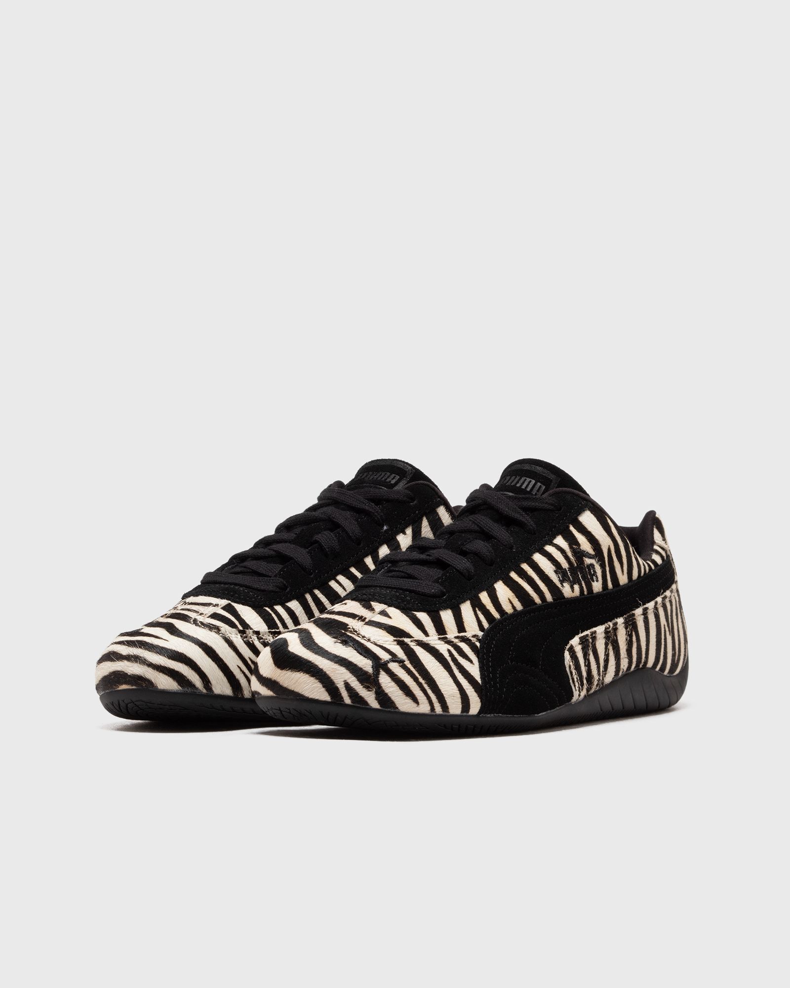 Speedcat Zebra Wns