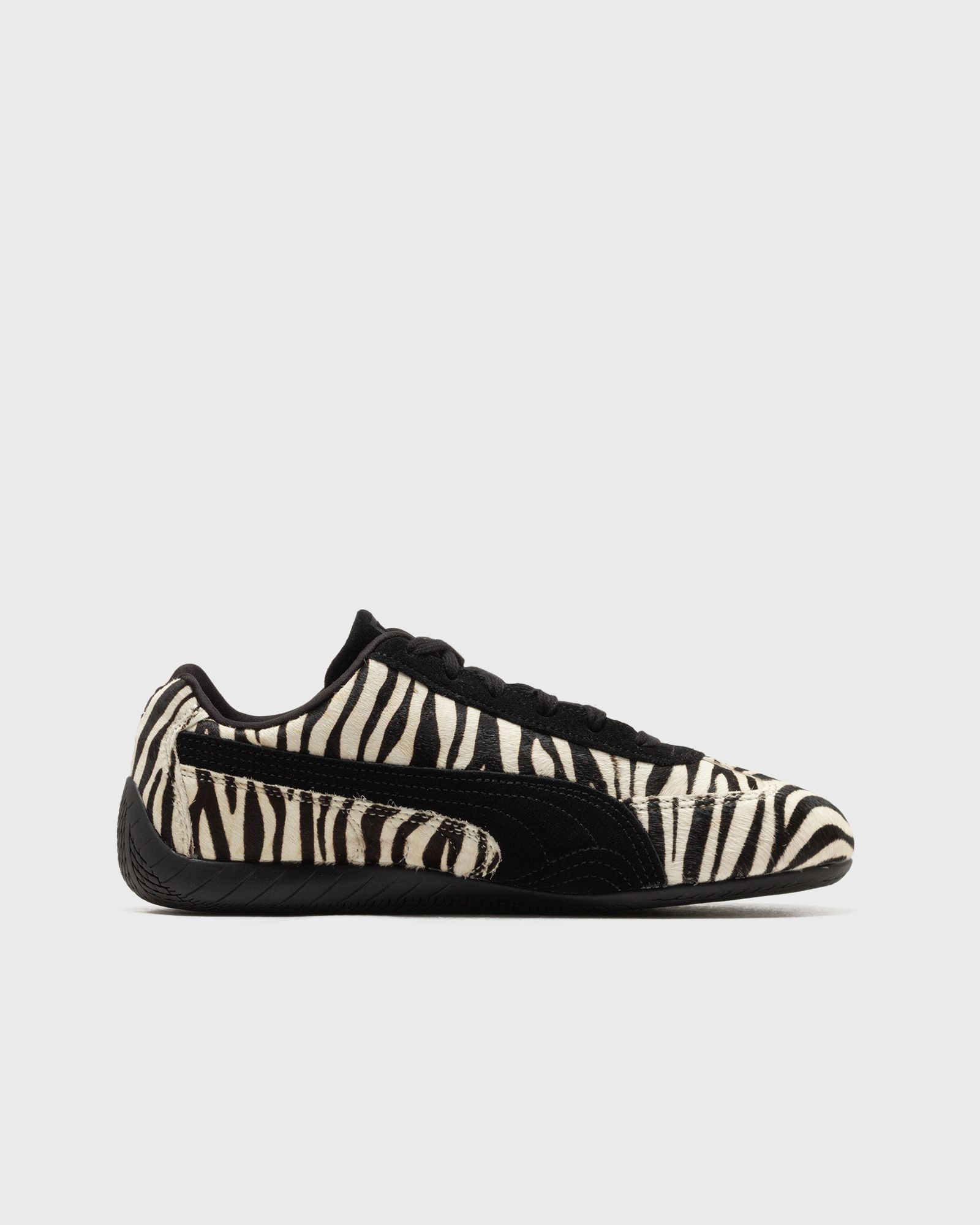 Speedcat Zebra Wns