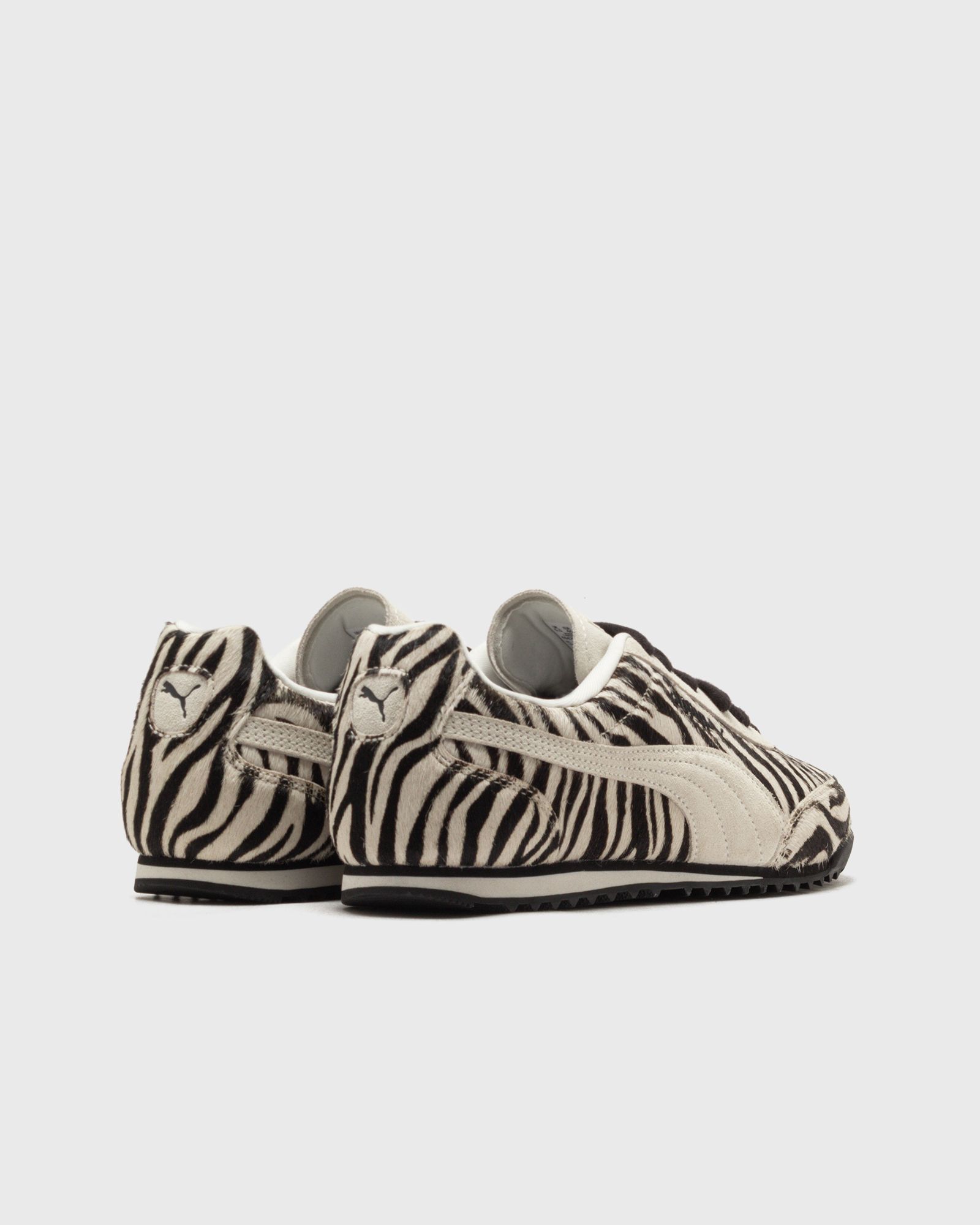 Arizona Zebra Wns
