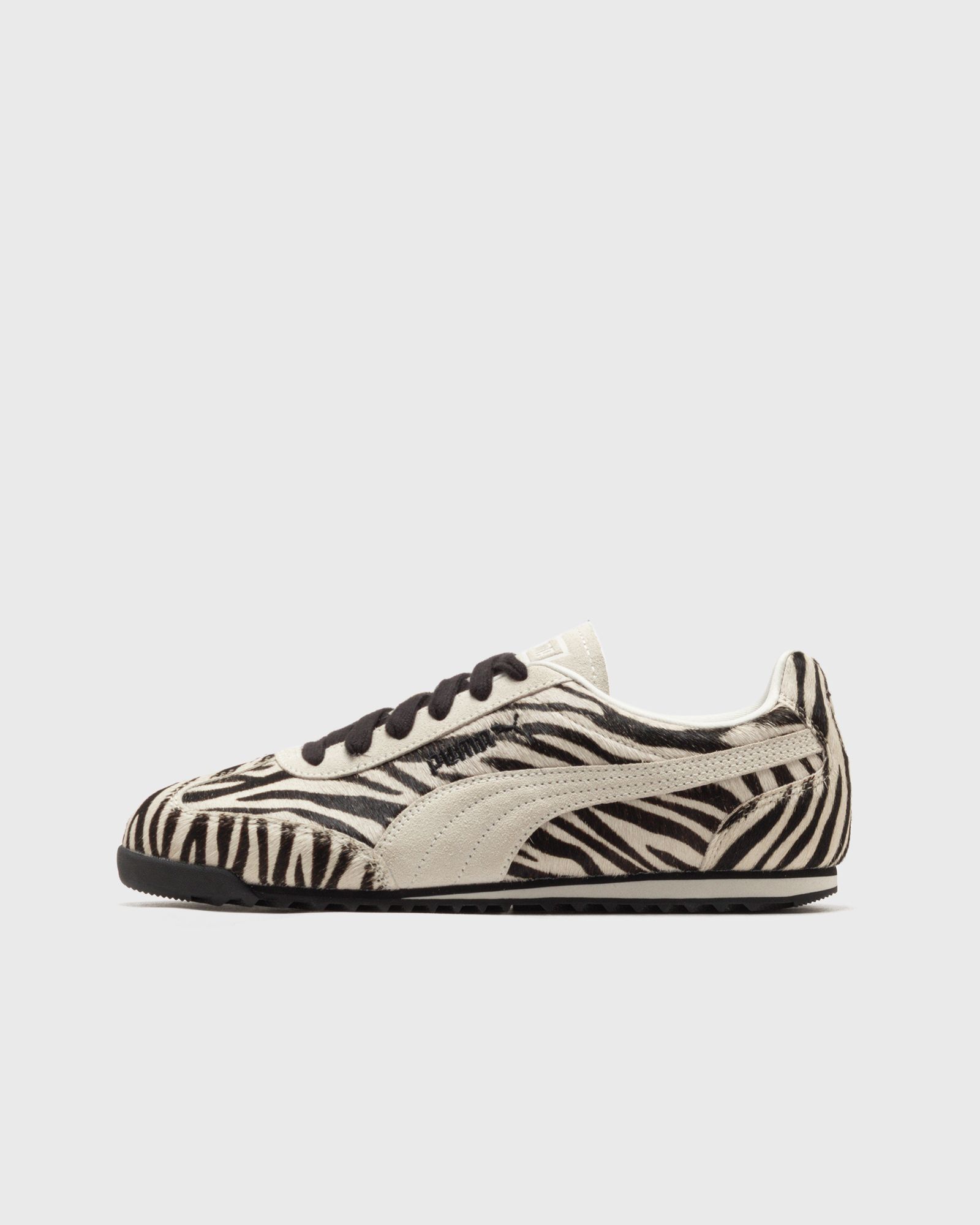 Arizona Zebra Wns-image