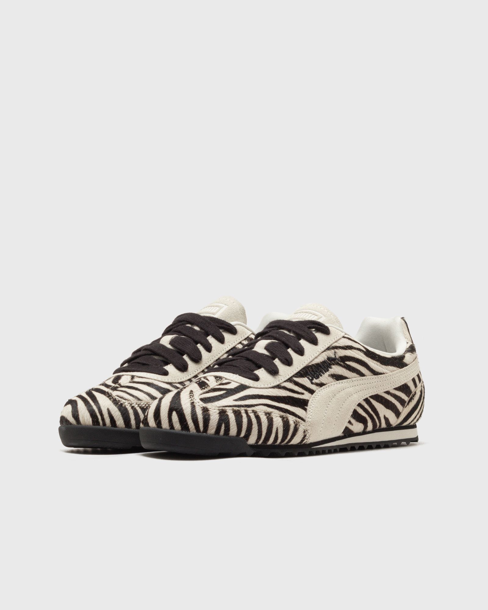 Arizona Zebra Wns
