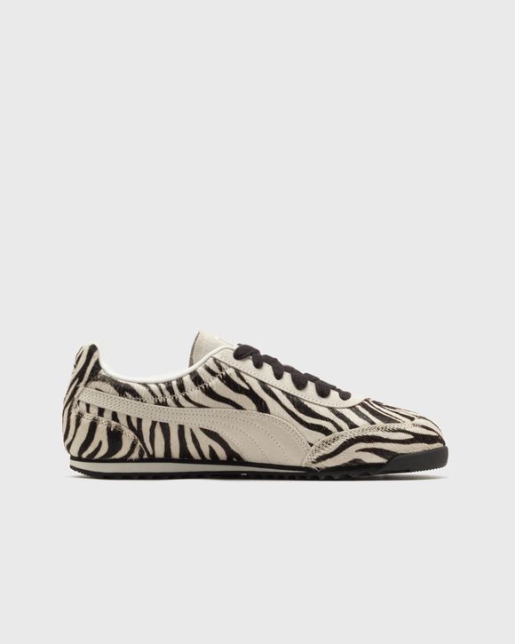 Arizona Zebra Wns