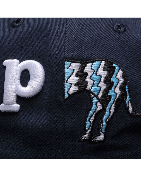 DOG TAIL P 6 PANEL CAP