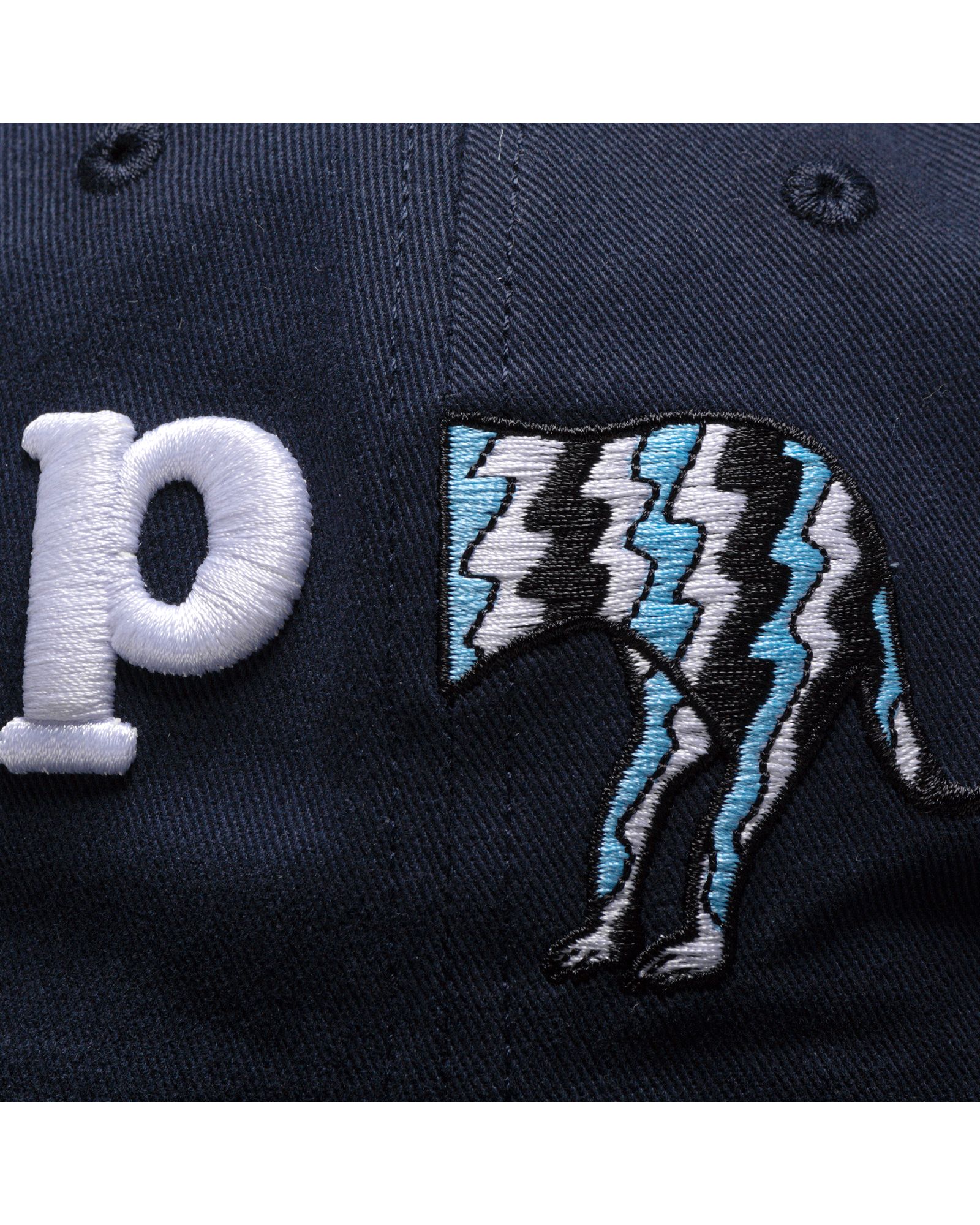 DOG TAIL P 6 PANEL CAP