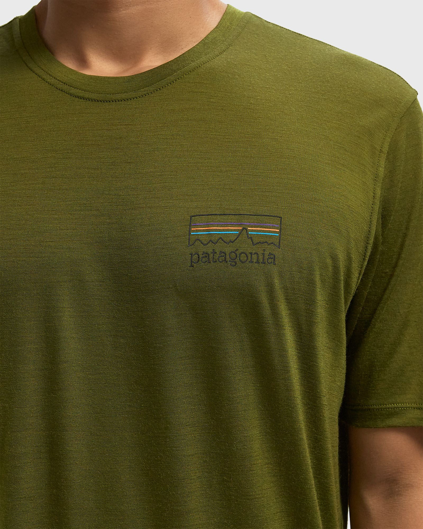 Capilene Cool Merino Blend Graphic Shirt