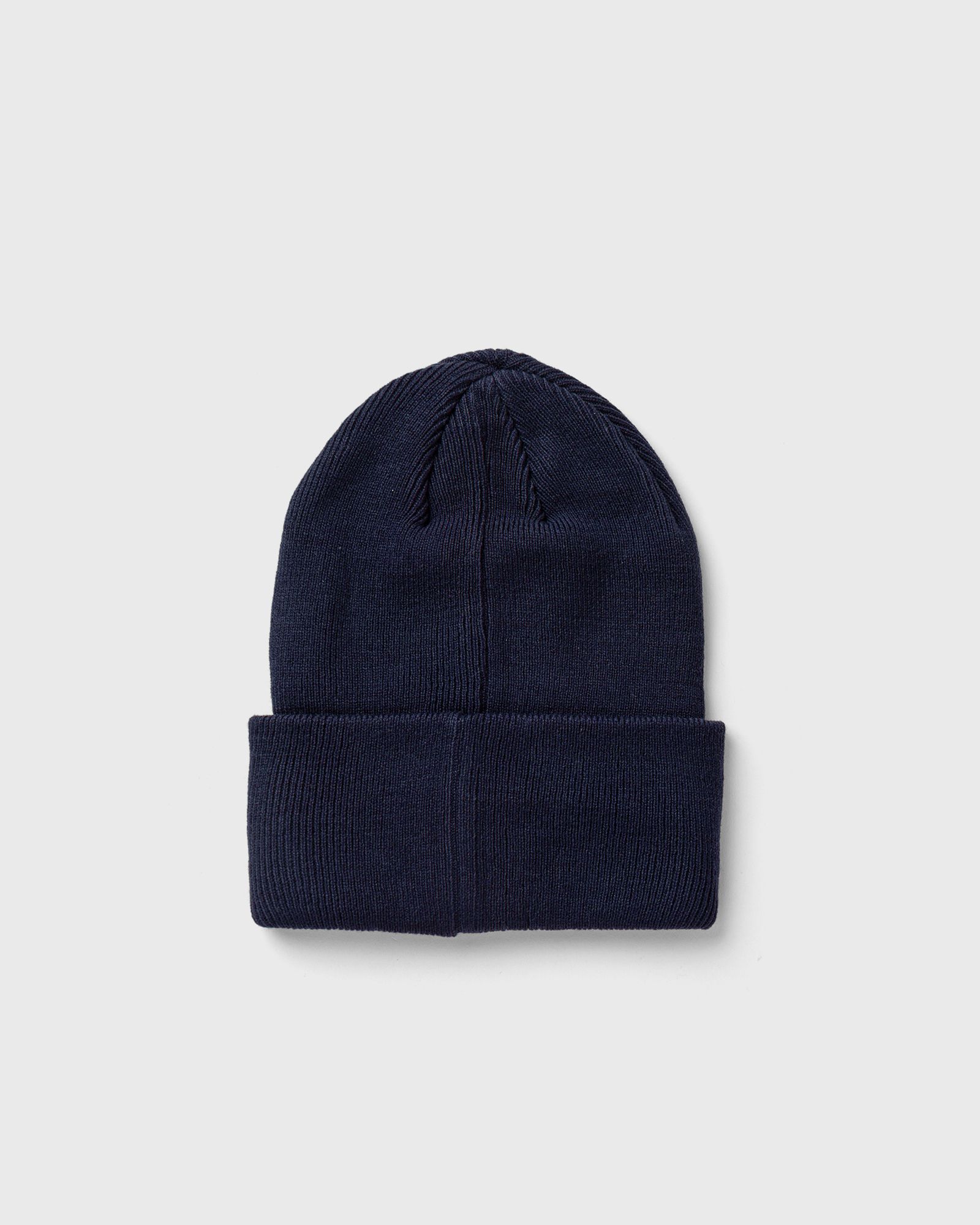BIG LOGO BEANIE