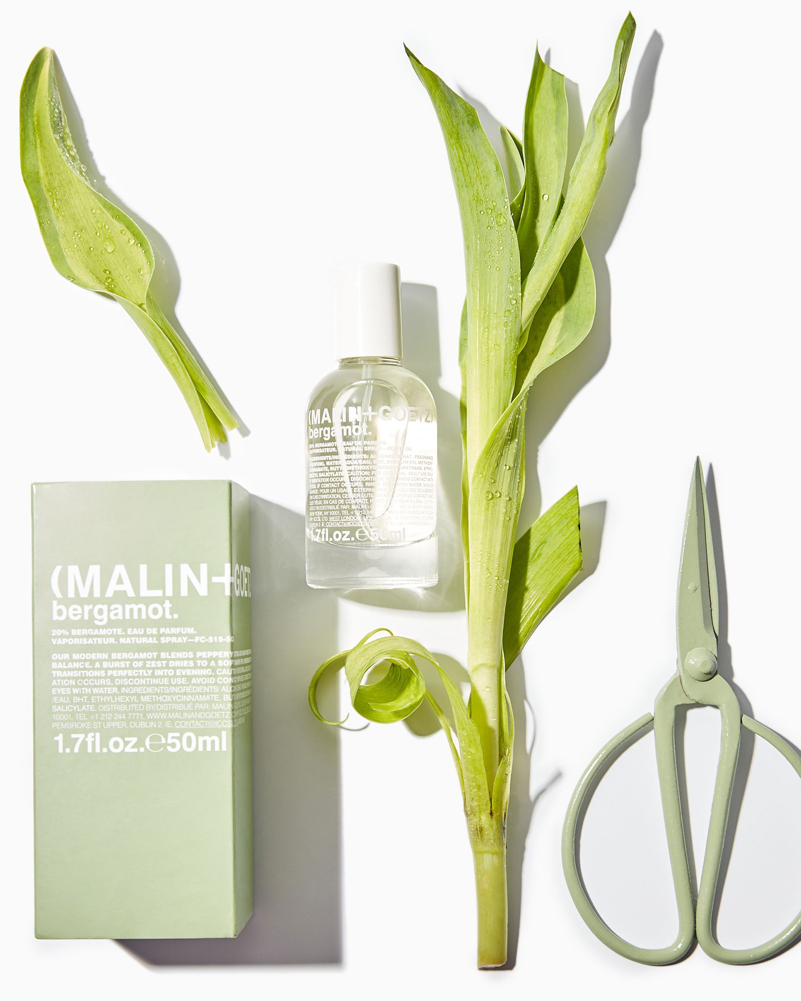 Bergamot Eau de Parfum - 50 ml