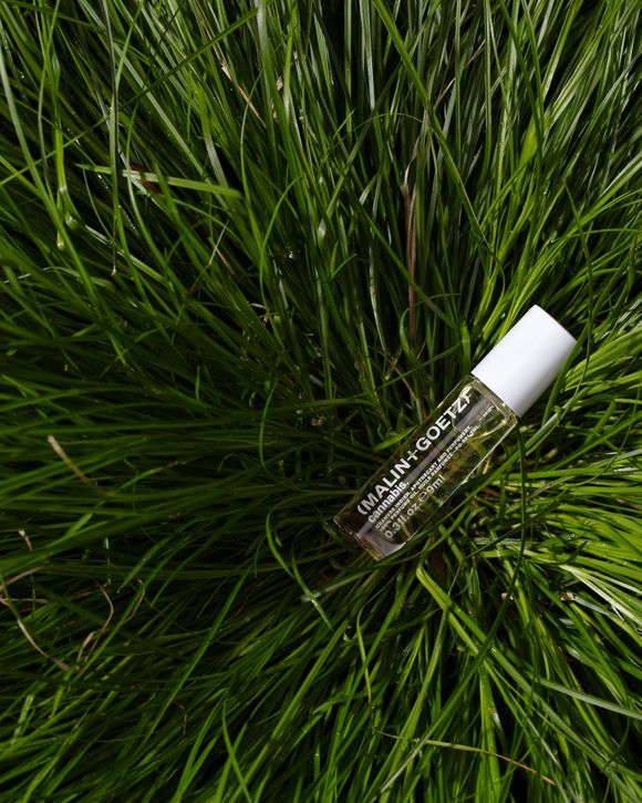 Cannabis Perfume Oil - 9 ml