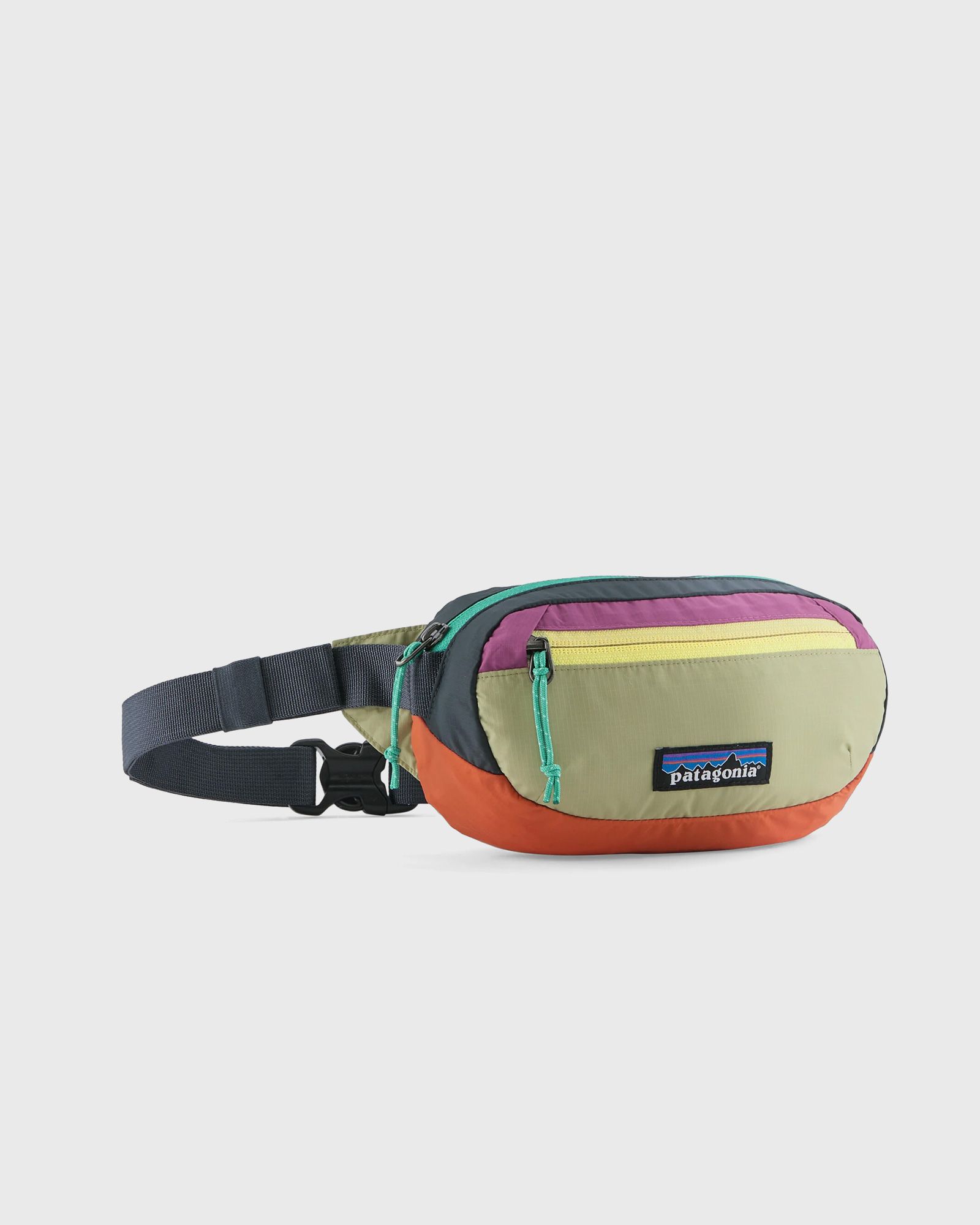 Patagonia Patagonia Terravia Mini Hip Pack in multi