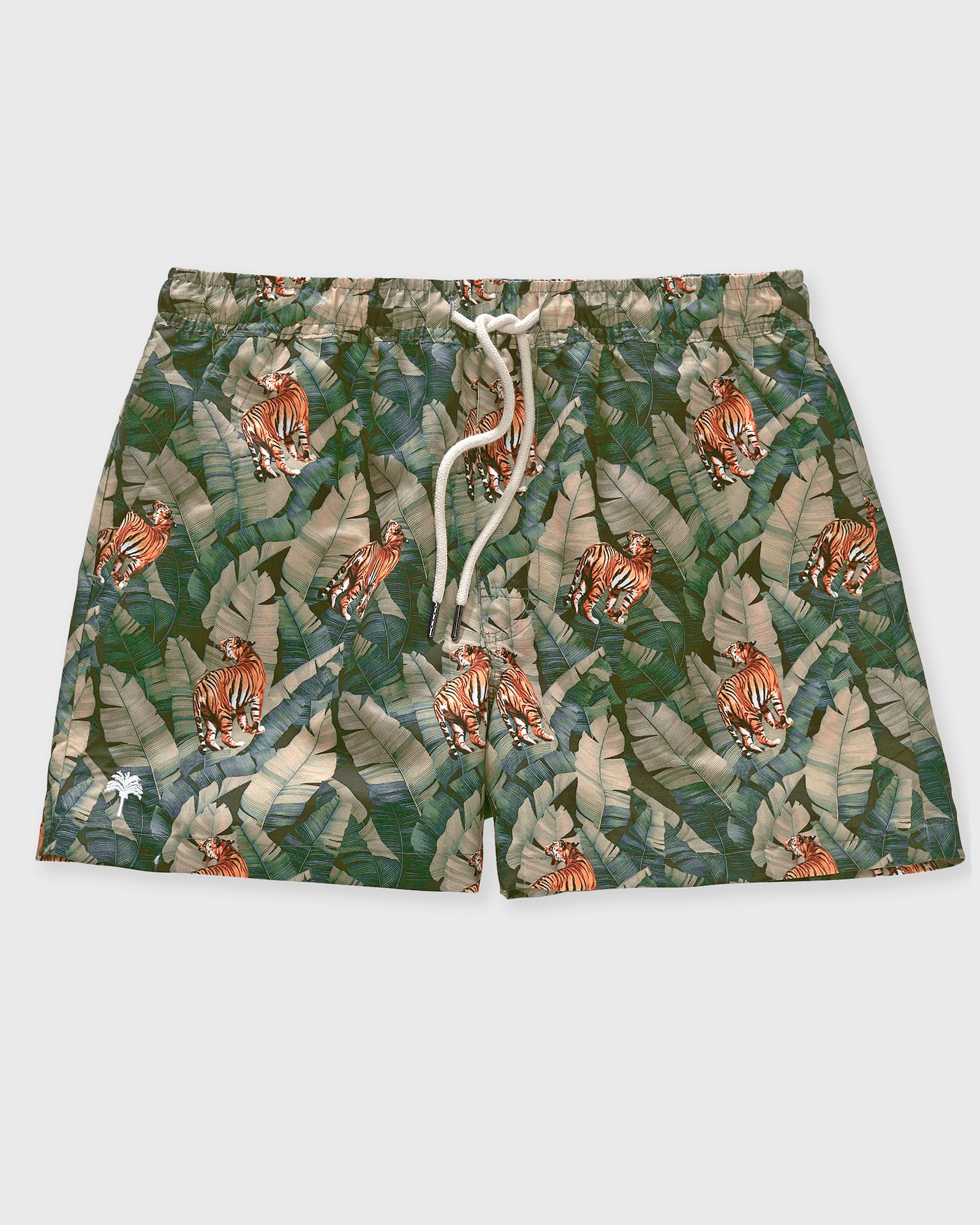 Roar Swim Shorts