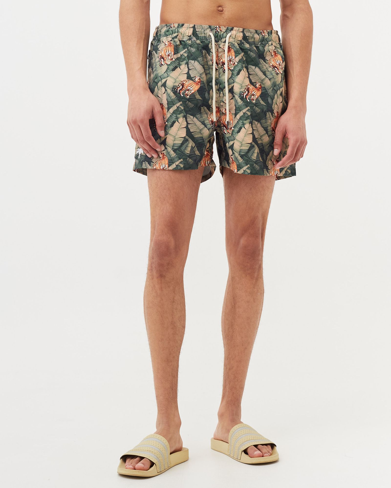 Roar Swim Shorts