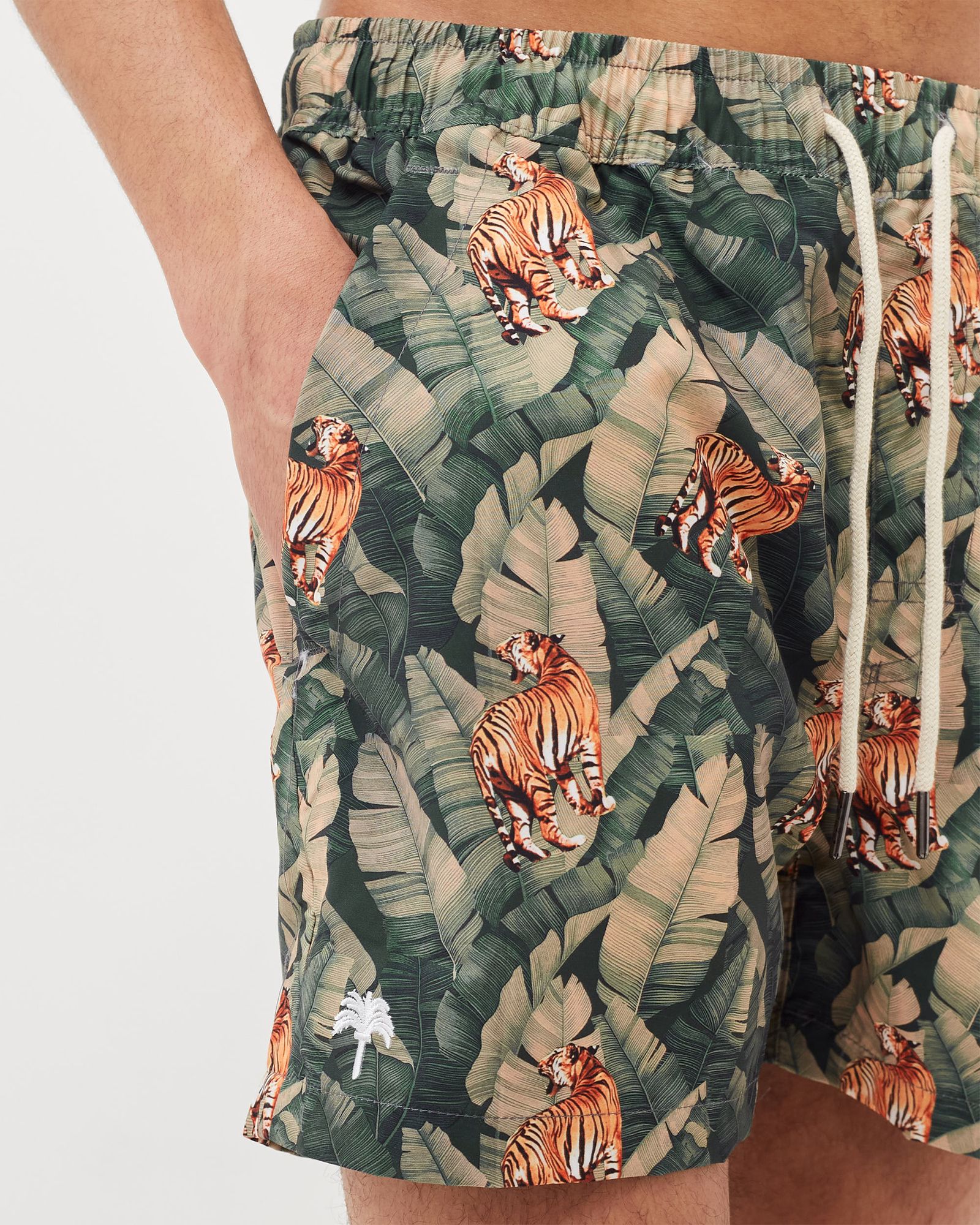 Roar Swim Shorts
